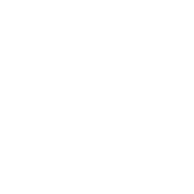 Soul of Seoul